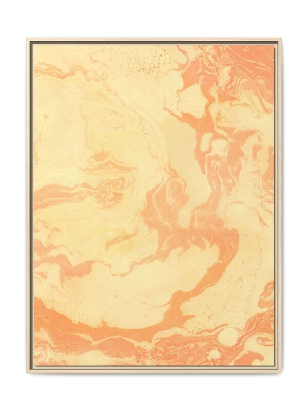 4694417756020272145_2048.jpeg Apricot Solace | Framed Canvas