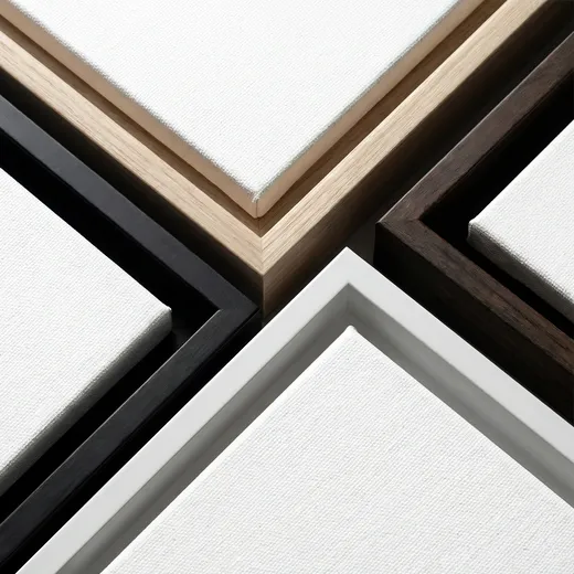 Framed Canvas Art Prints