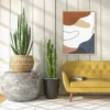 Canyon Whisper | Framed Canvas