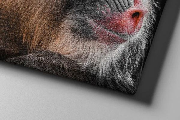 Mandrill Canvas Wall Art – Modern Primate Wildlife Portrait Matte Canvas Decor