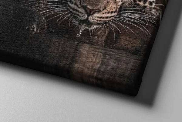 Leopard Canvas Wall Art – Majestic Wildlife Animal Portrait Matte Canvas Print