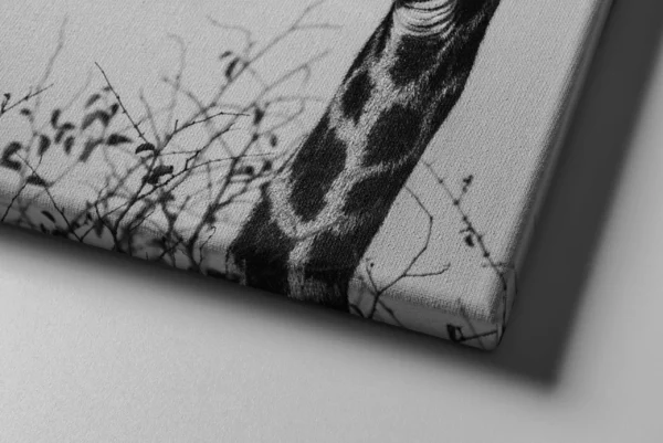 Giraffe Canvas Wall Art – Elegant Black and White Safari Wildlife Canvas Print