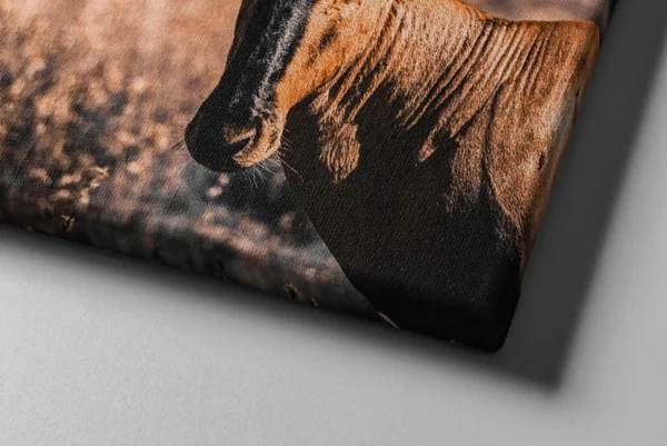 Antelope Canvas Wall Art – Majestic African Wildlife Matte Canvas Wall Decor