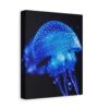 10485120542279101434_2048.jpeg Glowing Blue Jellyfish Canvas Wall Art for Coastal Modern Ocean Home Décor