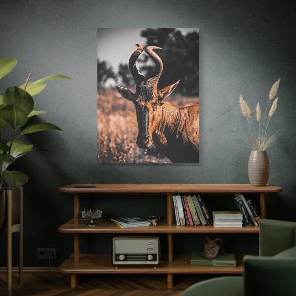 10730420397712931074_2048.jpeg Antelope Canvas Wall Art – Majestic African Wildlife Matte Canvas Wall Decor