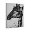 12915802926083990542_2048.jpeg Giraffe Canvas Wall Art – Elegant Black and White Safari Wildlife Canvas Print