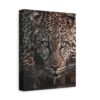 15879449806446060134_2048.jpeg Leopard Canvas Wall Art – Majestic Wildlife Animal Portrait Matte Canvas Print