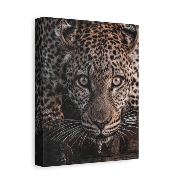 15879449806446060134_2048.jpeg Leopard Canvas Wall Art – Majestic Wildlife Animal Portrait Matte Canvas Print