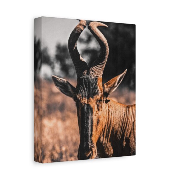 16392847776682060731_2048.jpeg Antelope Canvas Wall Art – Majestic African Wildlife Matte Canvas Wall Decor