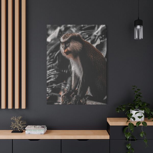 3484213592703673453_2048.jpeg Monkey Canvas Wall Art – Elegant Wildlife Primate Portrait Matte Canvas Decor