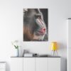 4175191892329947907_2048.jpeg Mandrill Canvas Wall Art – Modern Primate Wildlife Portrait Matte Canvas Decor