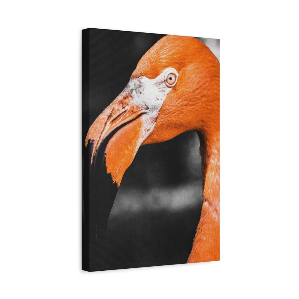 Vibrant Flamingo Portrait Matte Canvas Wall Art - Chroma Art Co