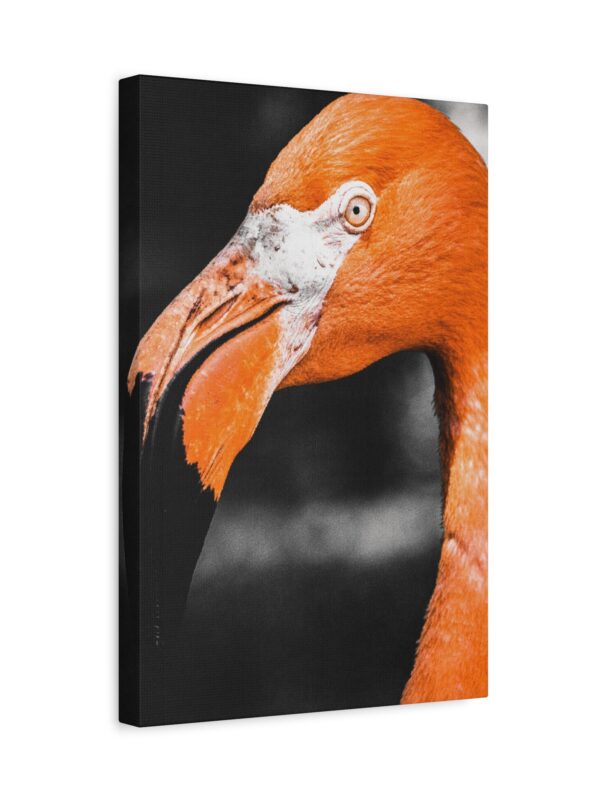 5778043743696006573_2048.jpeg Vibrant Flamingo Portrait Matte Canvas Wall Art