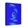 5783283416111963357_2048.jpeg Blue Jellyfish Canvas Wall Art – Modern Ocean Marine Life Matte Stretched Canvas Decor