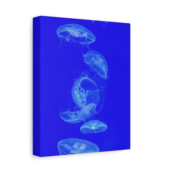 5783283416111963357_2048.jpeg Blue Jellyfish Canvas Wall Art – Modern Ocean Marine Life Matte Stretched Canvas Decor
