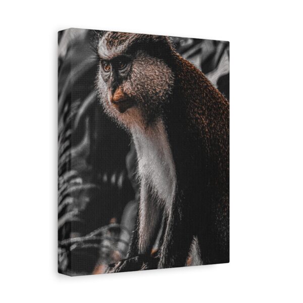 6208038807537060461_2048.jpeg Monkey Canvas Wall Art – Elegant Wildlife Primate Portrait Matte Canvas Decor