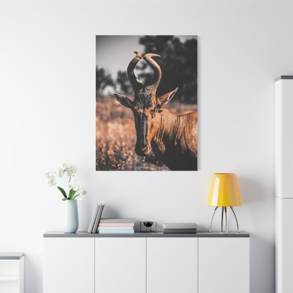 9649554460687791133_2048.jpeg Antelope Canvas Wall Art – Majestic African Wildlife Matte Canvas Wall Decor