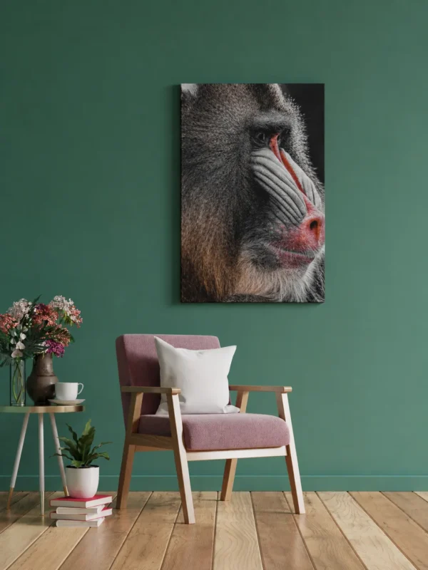 ChatGPT Image Jul 13, 2026, 10_50_07 PM_compressed Mandrill Canvas Wall Art – Modern Primate Wildlife Portrait Matte Canvas Decor