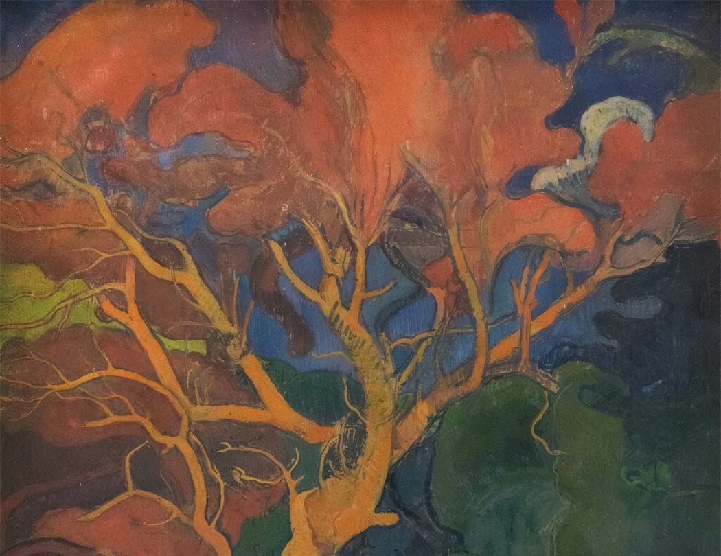 Forest & Trees