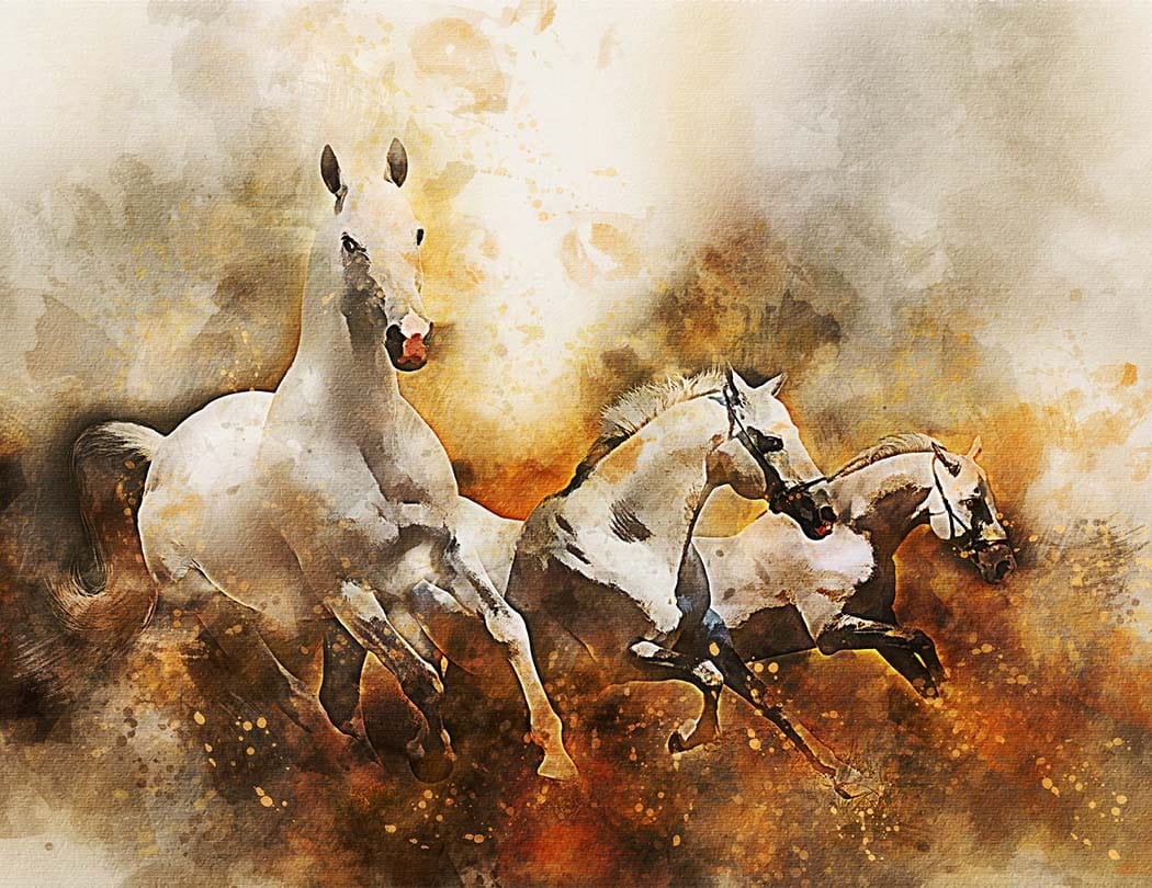 Horses