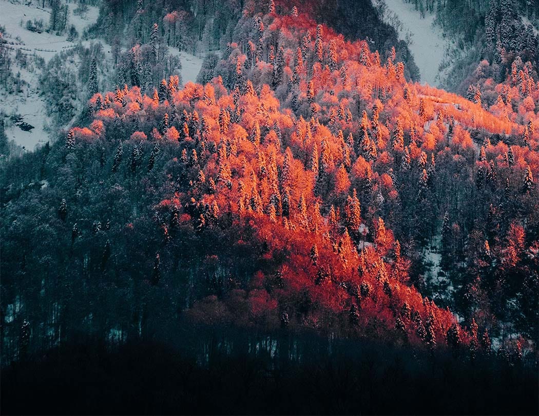 Mountain Views