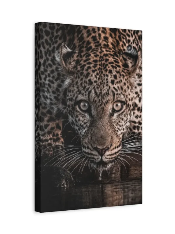 matte-canvas-stretched-125 (1)_compressed Leopard Canvas Wall Art – Majestic Wildlife Animal Portrait Matte Canvas Print