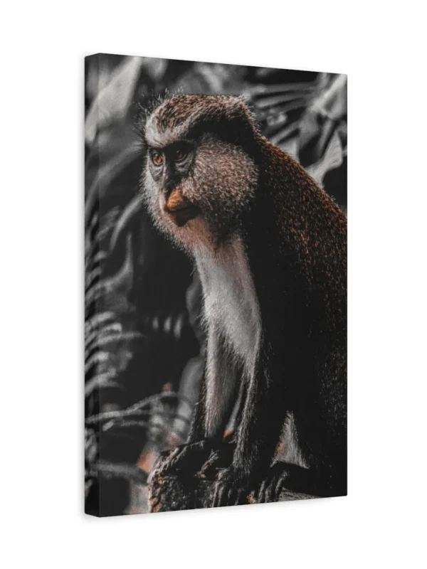 matte-canvas-stretched-125 (1)_compressed Monkey Canvas Wall Art – Elegant Wildlife Primate Portrait Matte Canvas Decor