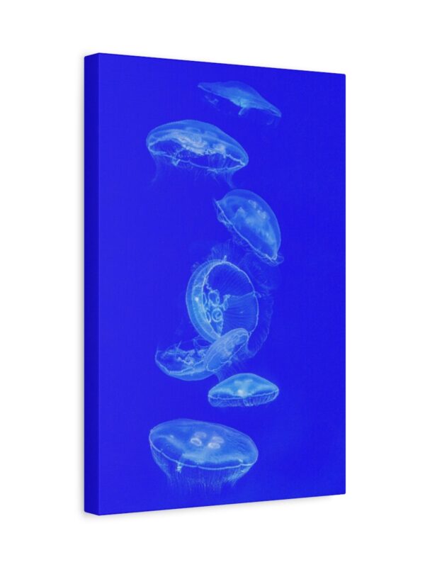 matte-canvas-stretched-125 Blue Jellyfish Canvas Wall Art – Modern Ocean Marine Life Matte Stretched Canvas Decor