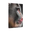 matte-canvas-stretched-125_compressed Mandrill Canvas Wall Art – Modern Primate Wildlife Portrait Matte Canvas Decor