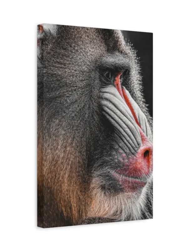 matte-canvas-stretched-125_compressed Mandrill Canvas Wall Art – Modern Primate Wildlife Portrait Matte Canvas Decor