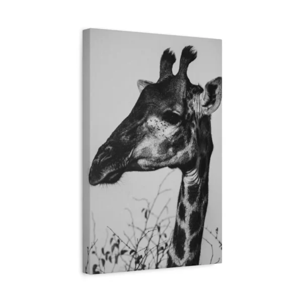 Giraffe Canvas Wall Art – Elegant Black and White Safari Wildlife Canvas Print