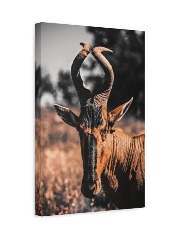 matte-canvas-stretched-125_compressed Antelope Canvas Wall Art – Majestic African Wildlife Matte Canvas Wall Decor