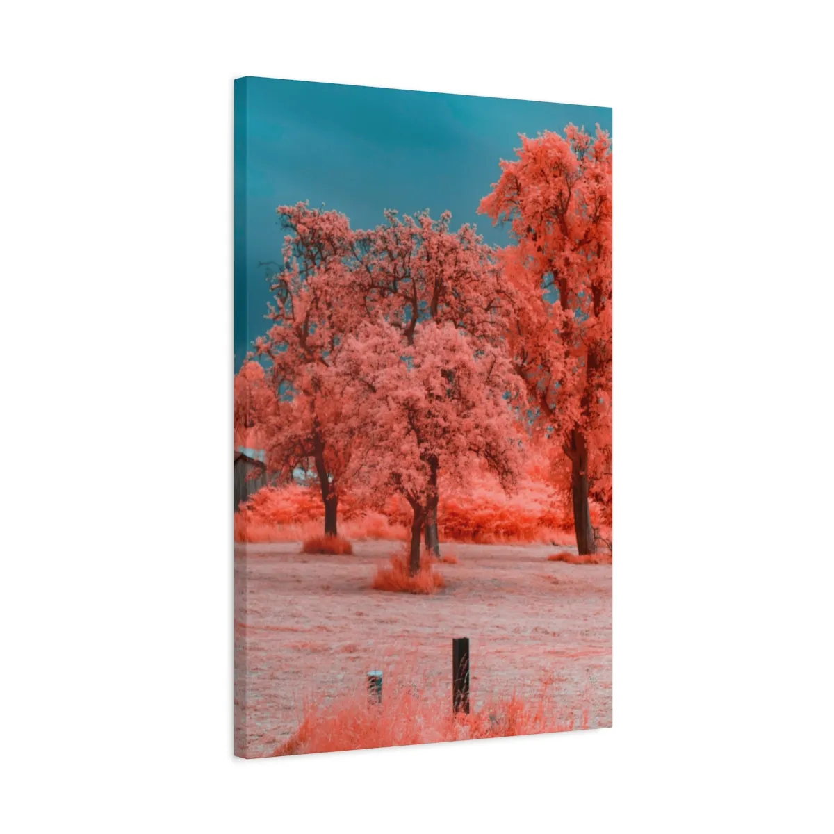 23 (2) Coral Red Trees Canvas Wall Art, Premium Matte Canvas Nature Decor in Teal