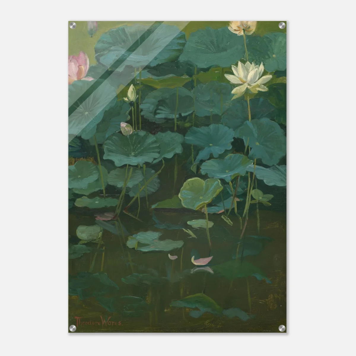 Lotus Pond Acrylic Wall Art – Deep Green Water Lily Botanical Gallery Decor