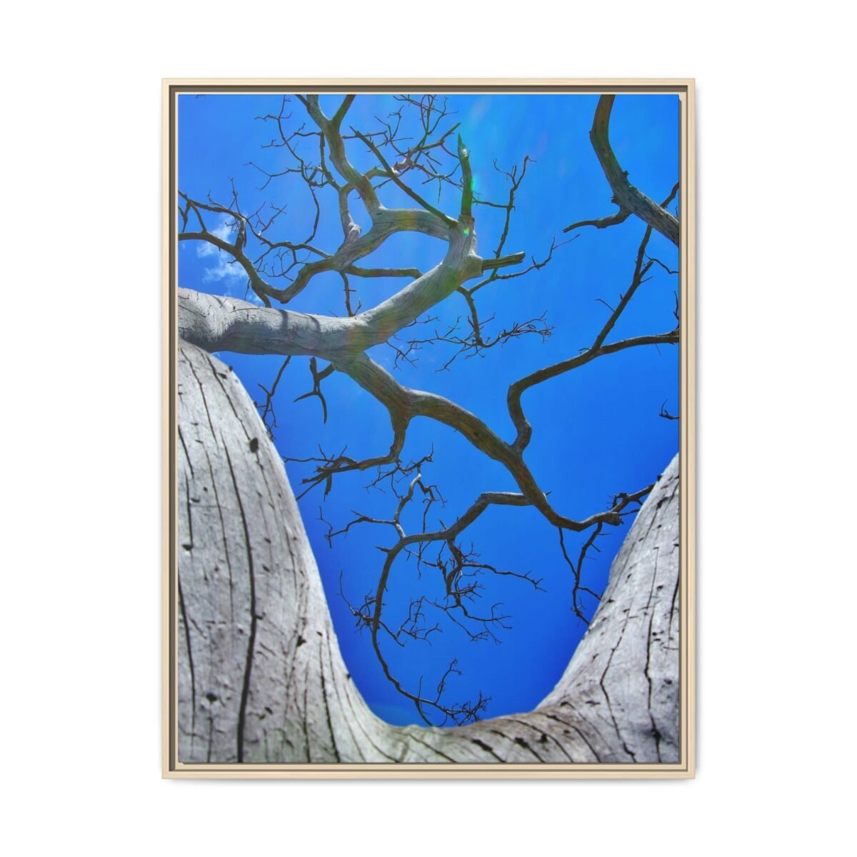 7019924935539573483_2048.jpeg Blue Sky Tree Framed Canvas Wall Art, Premium Matte Nature Artwork for Modern Decor