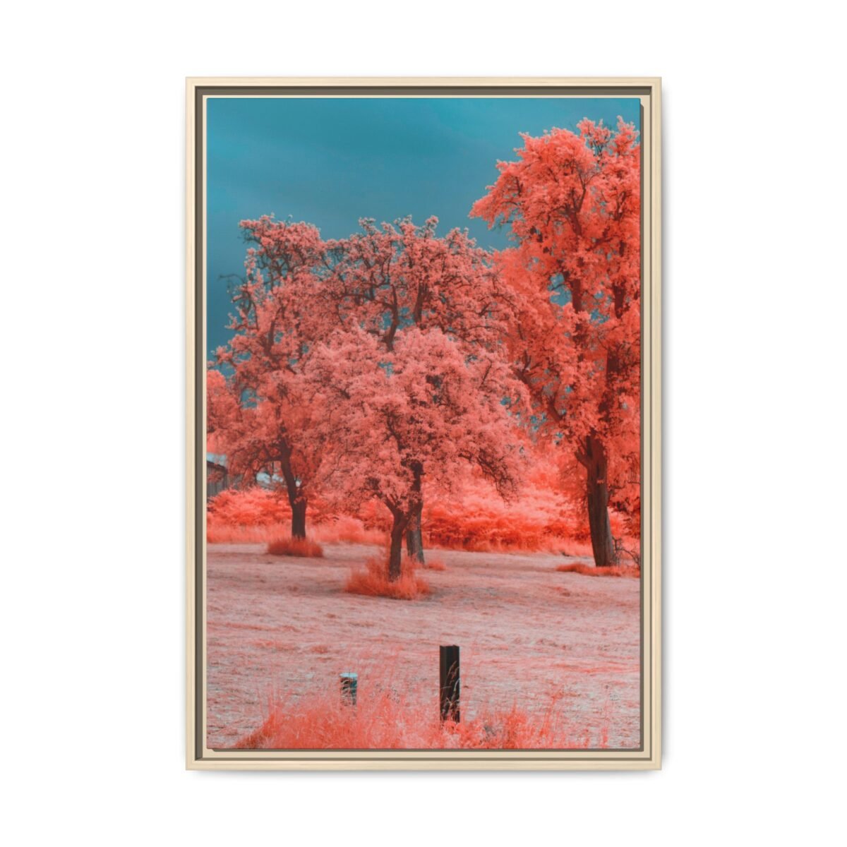 Coral Red Trees Framed Canvas, Premium Matte Canvas Nature Wall Art in Teal