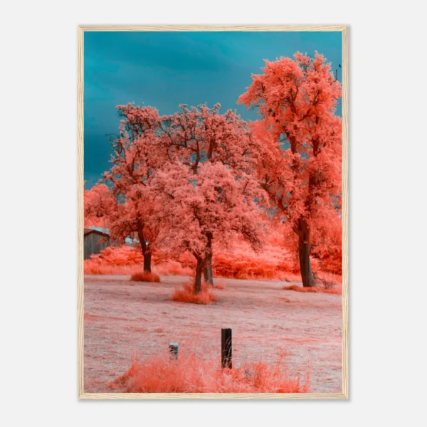 a7e2f5ca-2bca-444a-8c42-4f413f85a367