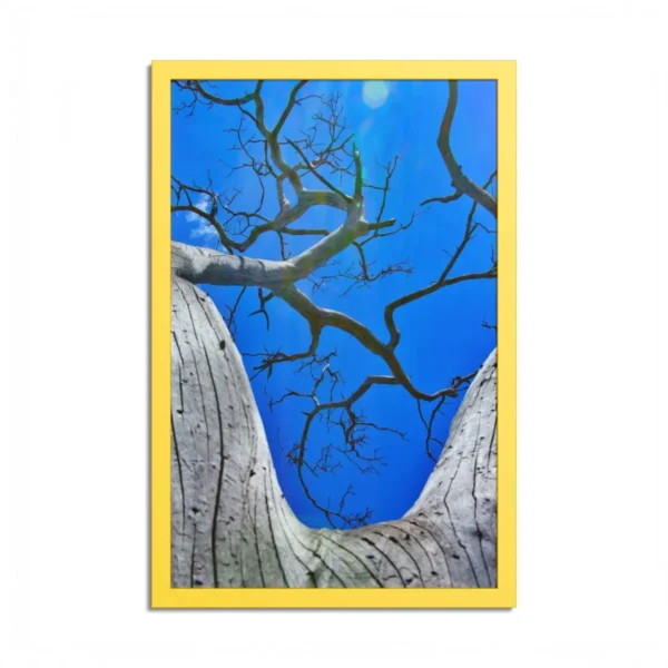 Blue Sky Tree Framed Print, Premium Matte Paper & Multi-Color Frame Nature Decor