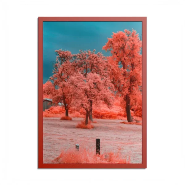 Coral Grove Framed Print, Premium Matte Paper & Multi-Color Frame Nature Wall Art