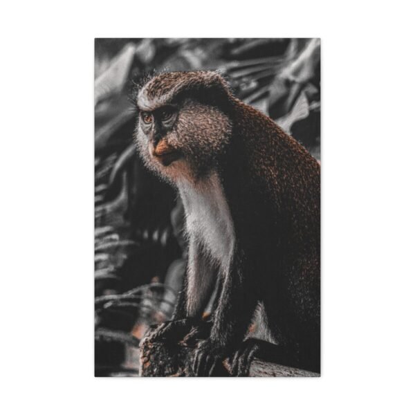 Monkey Canvas Wall Art – Elegant Wildlife Primate Portrait Matte Canvas Decor