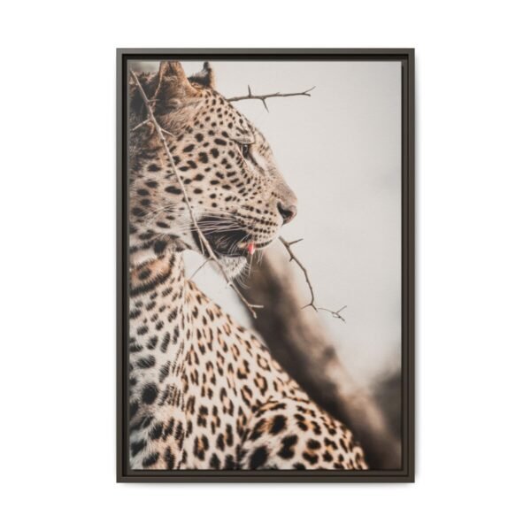 Leopard in the Thorns — Leopard Portrait Wall Art, Premium Matte Framed Canvas