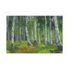 12039259944318109739_2048.jpeg Whispering Birch Forest Wall Art – Impressionist Landscape Canvas for Modern Interiors