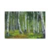 12882506696228516245_2048.jpeg Whispering Birch Forest Wall Art – Impressionist Landscape Canvas for Modern Interiors