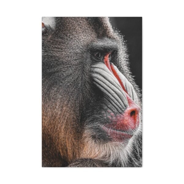 Mandrill Canvas Wall Art – Modern Primate Wildlife Portrait Matte Canvas Decor