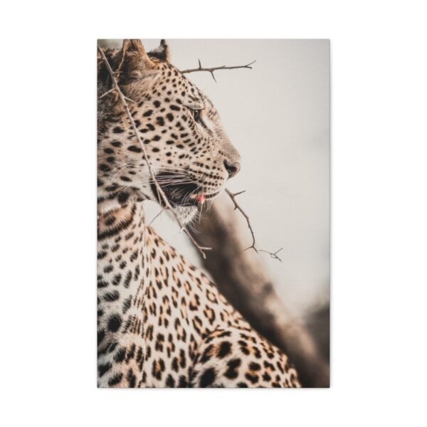 Leopard in the Thorns — Leopard Portrait Wall Art, Premium Matte Canvas Decor