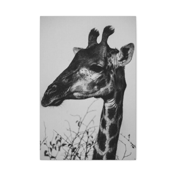 Giraffe Canvas Wall Art – Elegant Black and White Safari Wildlife Canvas Print