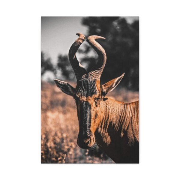 2152203455337436640_2048.jpeg Antelope Canvas Wall Art – Majestic African Wildlife Matte Canvas Wall Decor