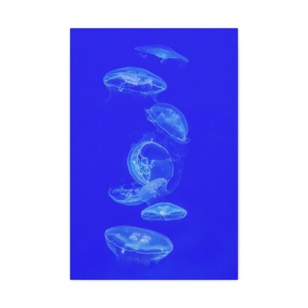 Blue Jellyfish Canvas Wall Art – Modern Ocean Marine Life Matte Stretched Canvas Decor