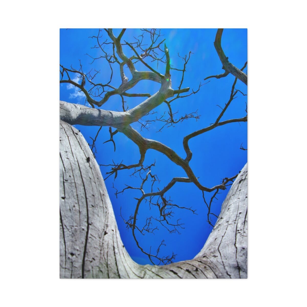 Blue Sky Tree Canvas Wall Art, Premium Matte Nature Artwork for Modern Interiors