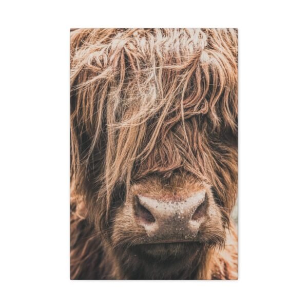7112581453593361318_2048.jpeg Highland Majesty – Highland Cow Wall Art, Premium Matte Stretched Canvas
